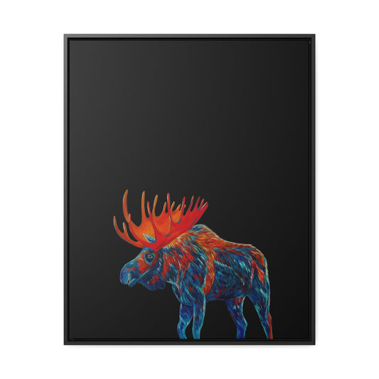 Moose Framed Canvas Print